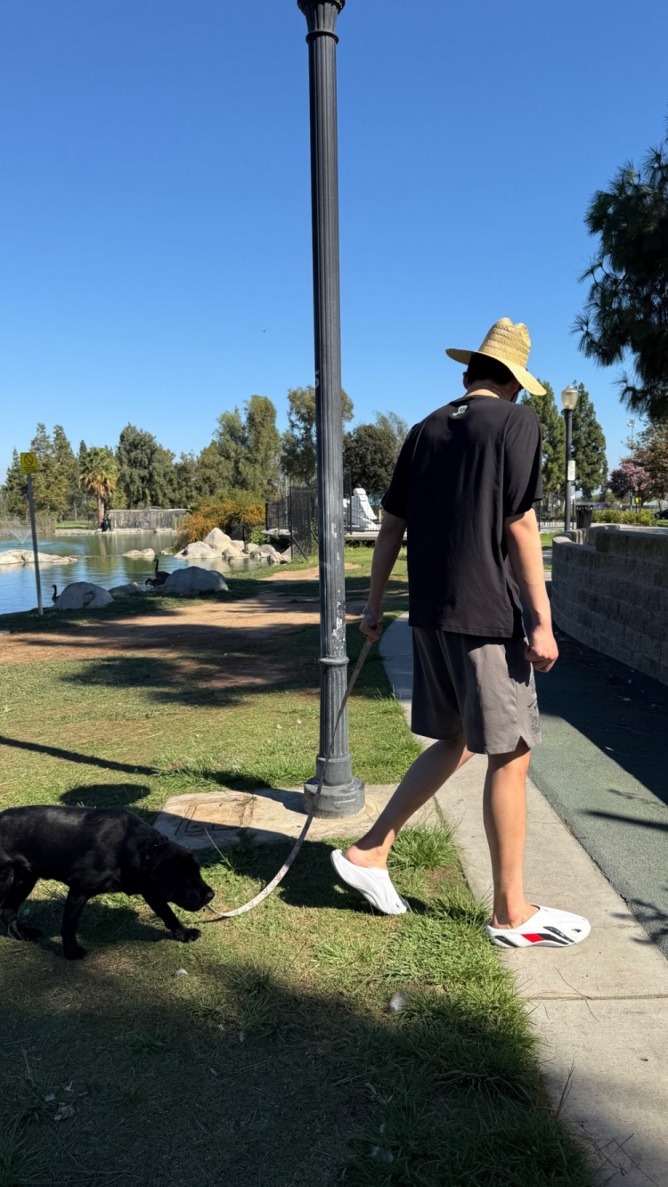 杨瀚森社媒晒遛狗照 洛杉矶特训对位科洛克又打马克西球局 杨瀚森社媒晒遛狗照 洛杉矶特训对位科洛克又打马克西球局